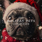 Holiday Pets
