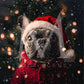 Holiday Pets