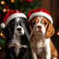 Holiday Pets