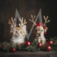 Holiday Pets
