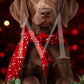 Holiday Pets