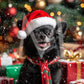 Holiday Pets