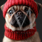 Holiday Pets