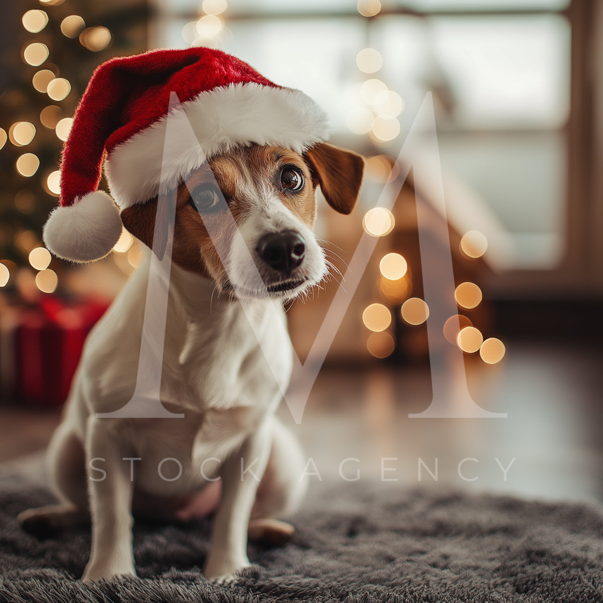 Holiday Pets
