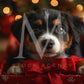 Holiday Pets