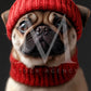 Holiday Pets