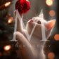 Holiday Pets