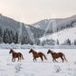 Montana Christmas