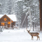 Montana Christmas