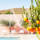 Poolside Mini Collection
