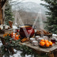 Seasonal Entertainment