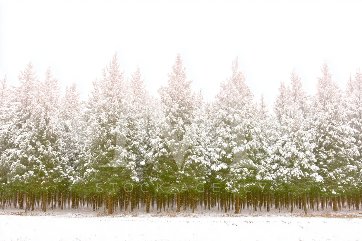 White Christmas Decor