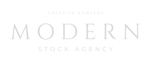 Modern Stock Agency