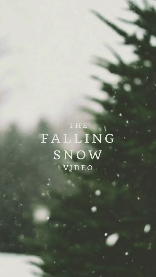 Falling Snow Video